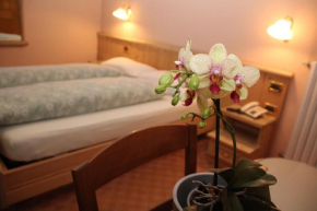 Отель Albergo Caravasc, Ливиньо